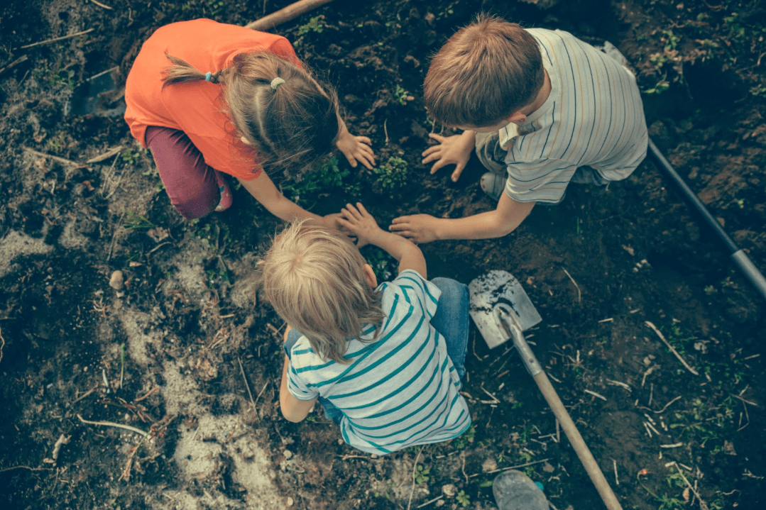 Forest Play